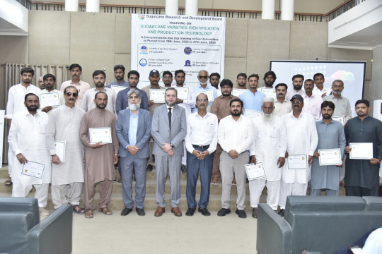 Training Program Sugarcane Varieties Identification and Production Technology” by SRDB
