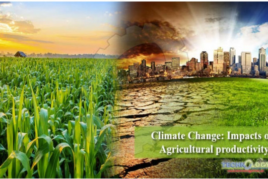 Climate Change : Impacts on Agricultural Productivity