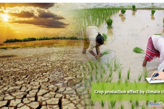 Crop Production effect by Climate Change