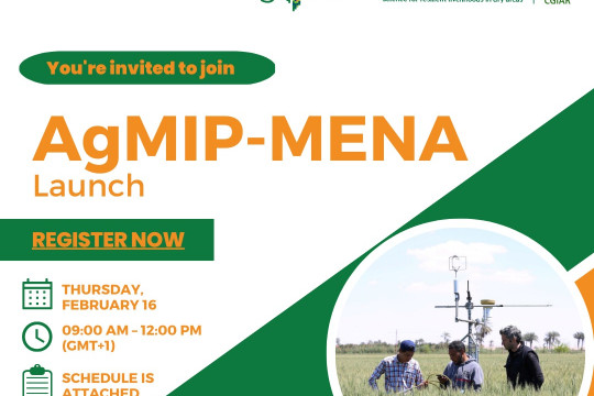 International Webinar on Launch of AgMIP-MENA